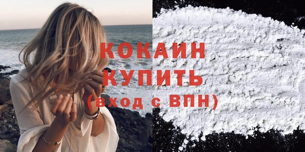 МДПВ Краснослободск