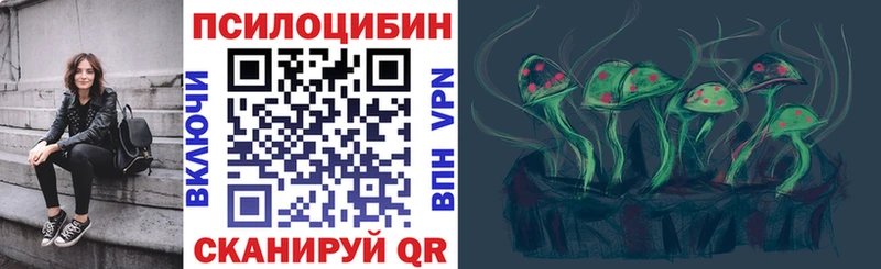 наркотики  Александровск  даркнет официальный сайт  Псилоцибиновые грибы ЛСД 